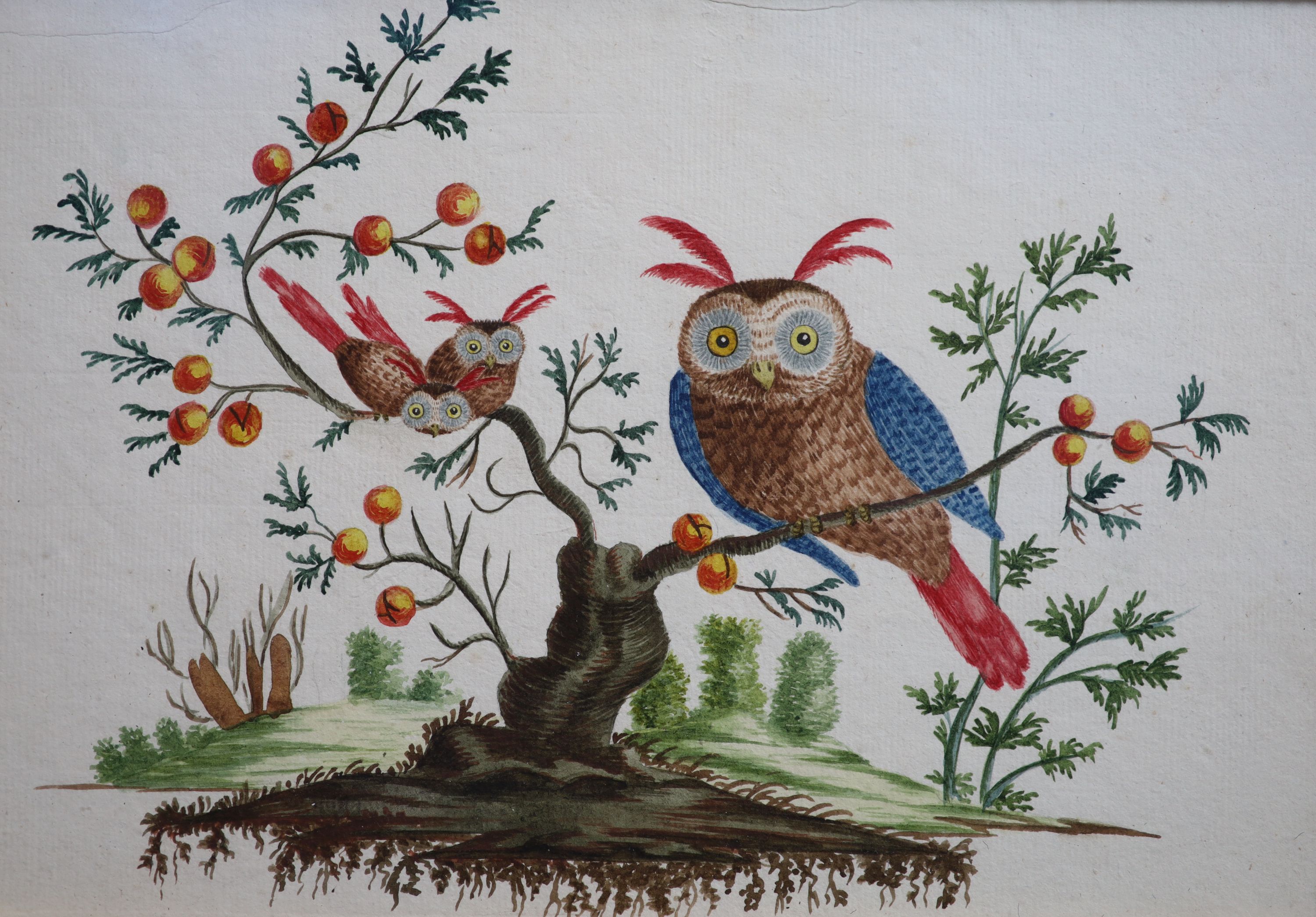 L Champquin (fl.c1800), Owl and owlets in a stunted fruit tree, watercolour, 18 x 26cm